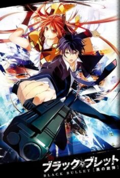 Black Bullet