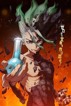Dr. Stone